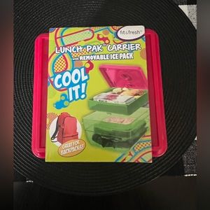 Lunch back carrier with removable ice pack